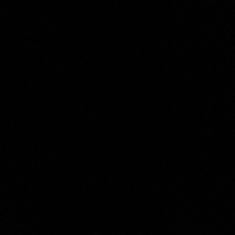 IGNORE